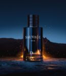 DIOR SAUVAUGE (100 ML)